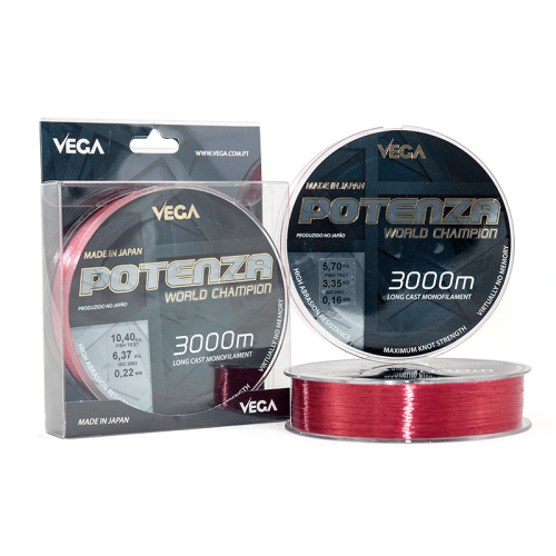 Hilo Vega Potenza World Champion